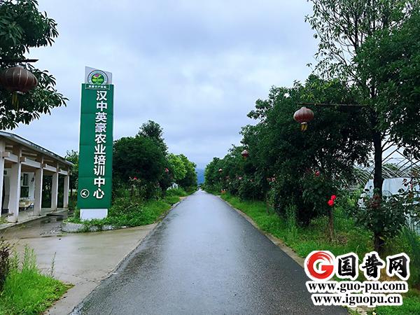 汉中英豪农业生态旅游观光园培训中心 农业观光与研学实践的新高地